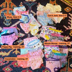 NBW: 32 pairs of Toddler Girl Bundle Training (and non-) Underwear - 3T